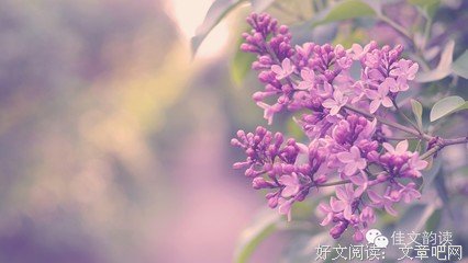 陌上花开442 小编已拦不住想要自黑的小哥哥啦