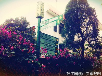 最全的张小娴的名言名句