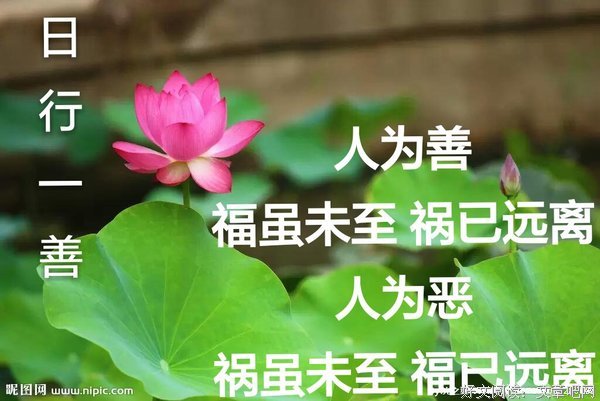 证严法师名言名句