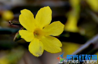 春花秋月的名言_关于春花秋月的名言