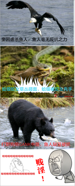 水水的名言_关于水水的名言