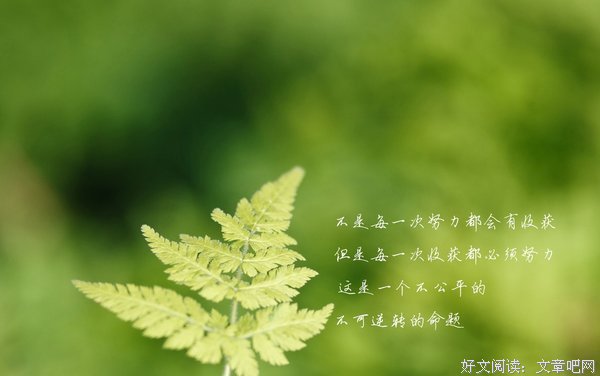 关于依依惜别的唯美语录