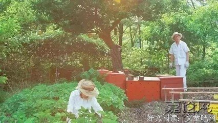 离婚考卷”红了！分数太高的夫妻不准离婚！你能做对几道？