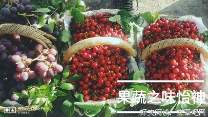 菜市场治好了我的抑郁症