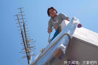 《高举爱》经典影评集