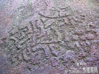 疑案探秘——揭开事实的真相