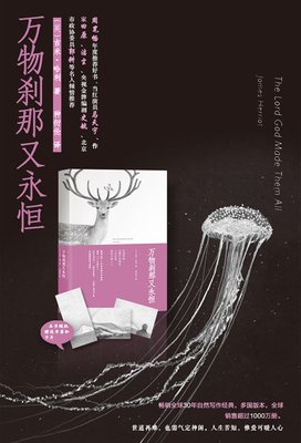 最新的吉米·哈利经典语录