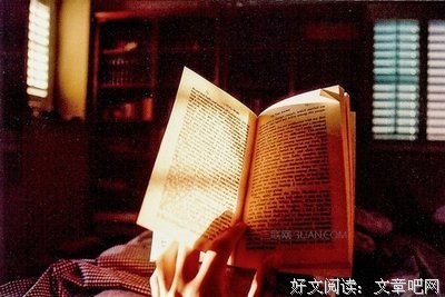关于梁上君的格言