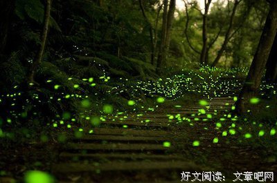 最全的《自决之书》散文美句