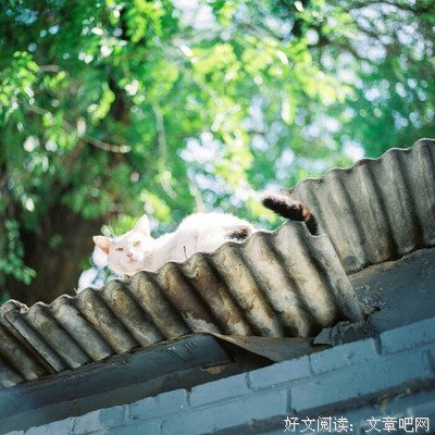 关于小红的语句