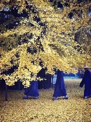 李世民问唐僧：你凭什么成功？职场传疯了！