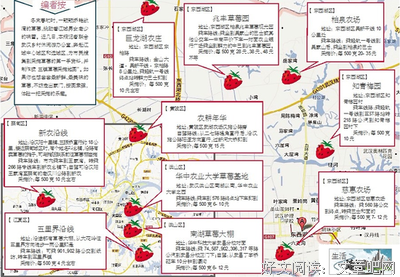 在草莓认识的网恋对象