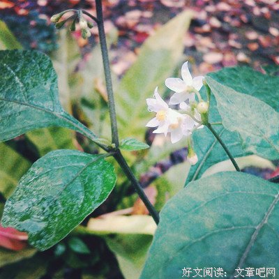 浪里个浪~