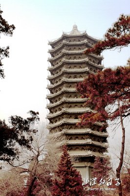 北漂的日子