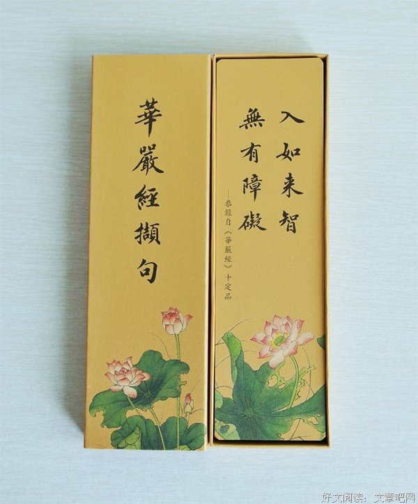 关于毫无来由的格言