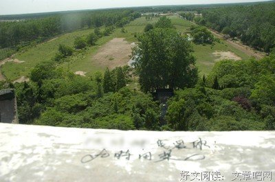 追异性时你做过最疯狂的事是什么？