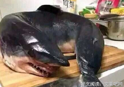 “我喜欢有内涵的女生”“呵呵”