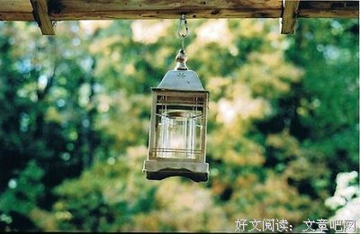 最经典的《Lucky》经典语句大全