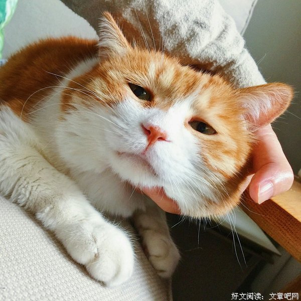 《新相亲时代》高学历女孩的婚恋观，句句戳心！