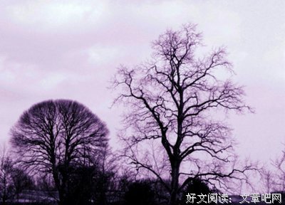 最新的《笔有千钧》经典名句