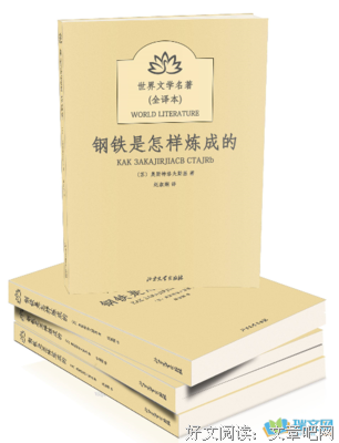 最经典的《钢铁之翼》好段摘抄