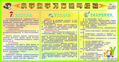 最好的学习方法