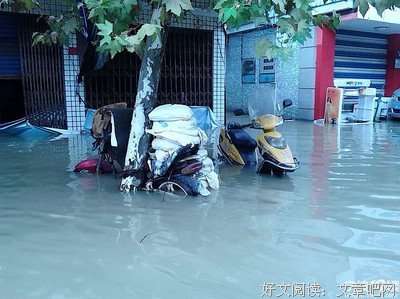 杨超越不可怕，身边有杨超越才可怕