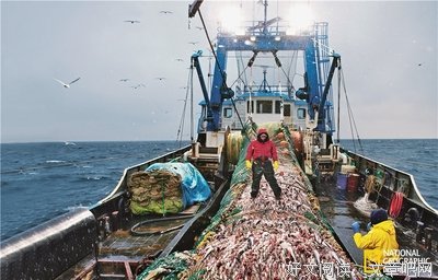 纪录片“出海”，机遇与挑战并存