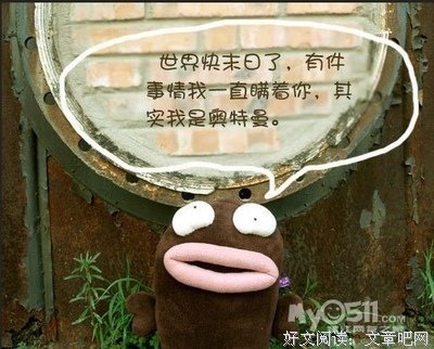 最新的冯小茶经典语录