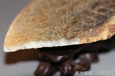 宁为玉碎格言警句