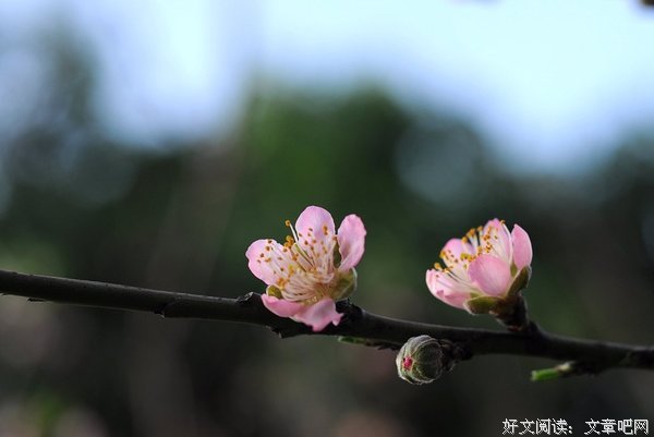 关于利利的语句