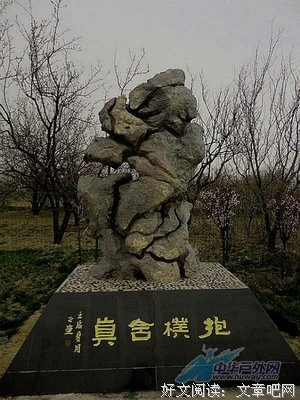 奇石的名句_关于奇石的名句