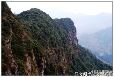 关于狮王的名言