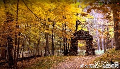 描写光芒四射的经典句子