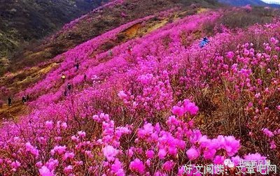 往事不回头，未来不将就