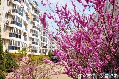 《花园小象波米诺》之二：春天来了