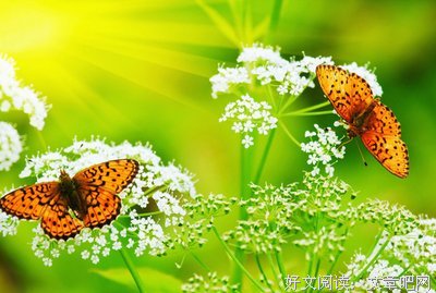 晚安心语：爱一个人，可以爱多久？
