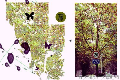 当所有的期待都落空，也许就可以真正脚踏实地