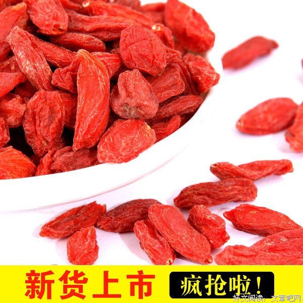 关于子贡的唯美语录