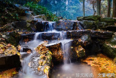 关于姚子悠的格言