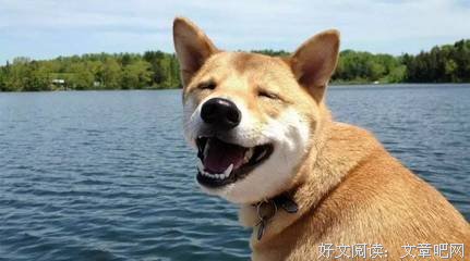 男生拒绝女生的潜台词
