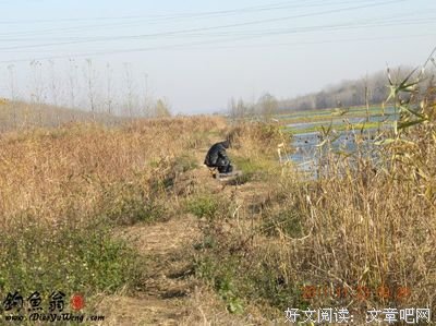 浪，是一种瘾