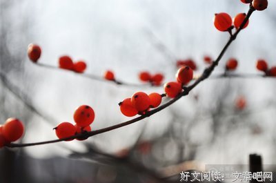 杨路 | 近朱者赤，近墨者黑