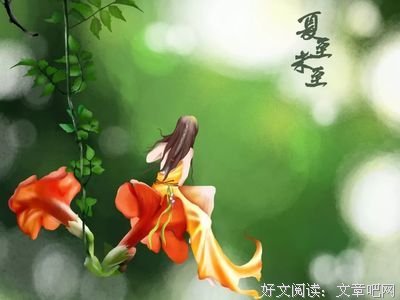 浅夏花开，唯念君安