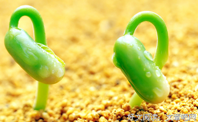 关于隐秘的格言