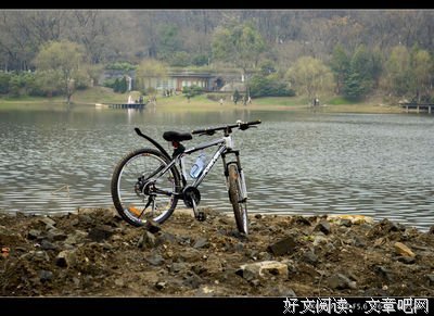 最全的《行者无疆》散文美句大全