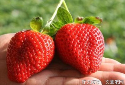 佐贺的名言_关于佐贺的名言