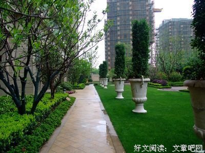 关于紫兰的语句