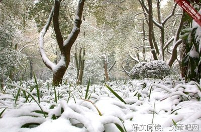三水小草名言大全