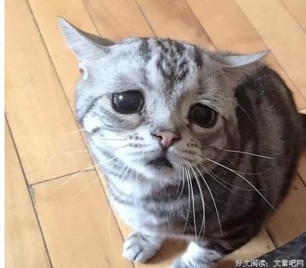 如何让委屈不再委屈？